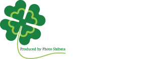 幸せ写真スタジオ　クローバー　